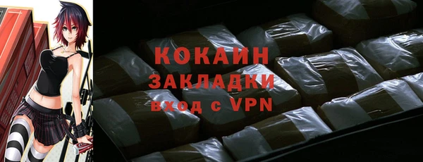 PSILOCYBIN Богданович
