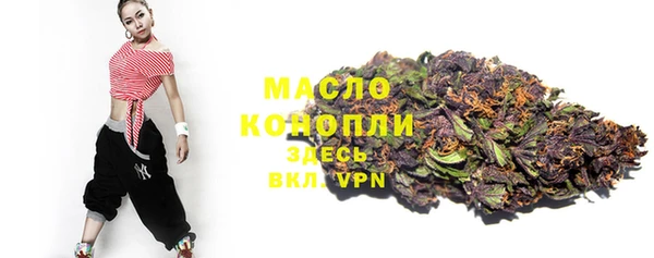 соль ск Богородск