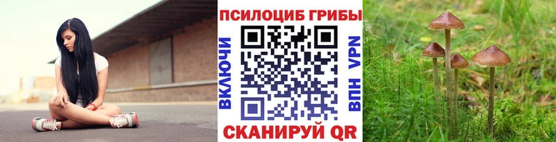 Псилоцибиновые грибы мицелий  где можно купить   сайты даркнета состав  Кызыл 